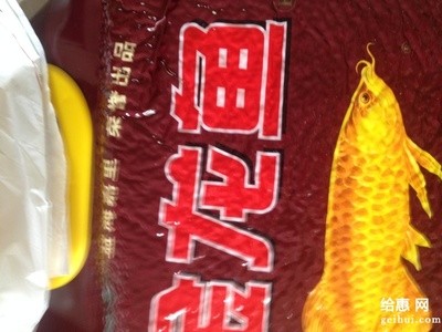 一年的紅龍魚鰓蓋發黃正常嗎（一年的紅龍魚鰓蓋發黃正常嗎圖片）
