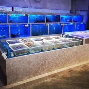 廣州魚缸批發廣州魚缸批發市場在哪里進貨最便宜:廣州魚缸廣州魚缸批發市場批發市場在哪里進貨最便宜 魚缸百科 第3張 廣州魚缸批發廣州魚缸批發市場在哪里進貨最便宜:廣州魚缸廣州魚缸批發市場批發市場在哪里進貨最便宜 廣州魚缸批發廣州魚缸批發市場在哪里進貨最便宜:廣州魚缸廣州魚缸批發市場批發市場在哪里進貨最便宜 魚缸百科 第3張