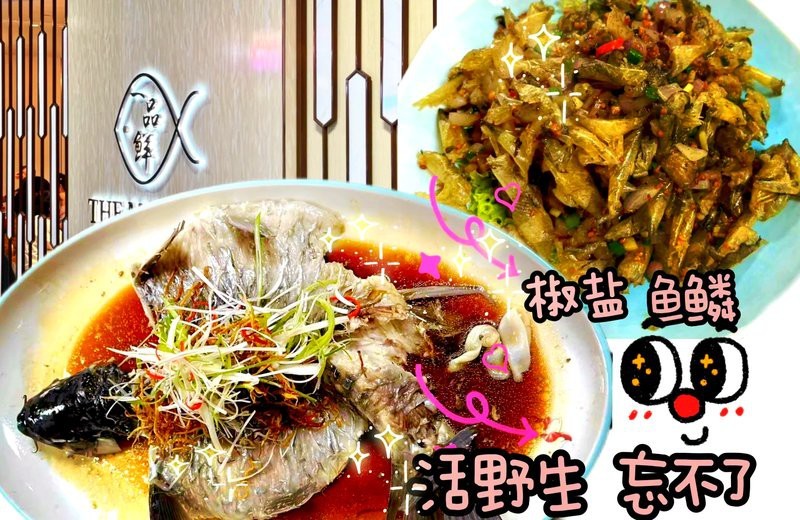 淡水魚忘不了