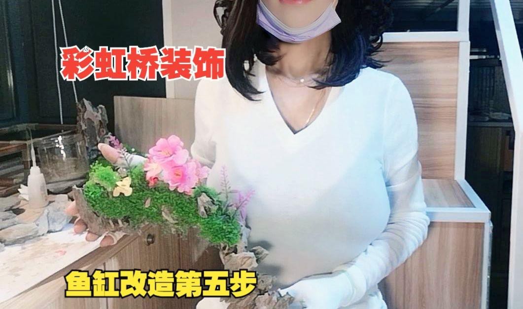 龍魚和什么魚搭配顯得高檔 龍魚和什么魚搭配顯得高檔 龍魚論壇 第7張