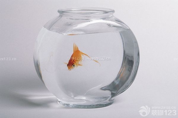 濰坊市坊子區(qū)浩浩水族館