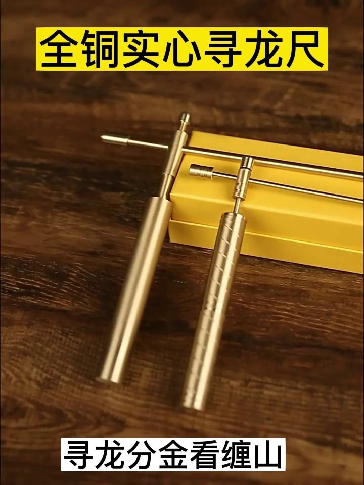 尋龍儀器探測器