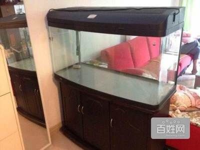 黑色魚缸和白色魚缸各有各的特點和優勢和優勢和優勢：如何打造個性化魚缸
