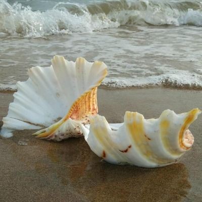 佛教文化與現(xiàn)代生活的融合佛教文化與現(xiàn)代生活的融合佛教文化：佛像魚缸造景圖片
