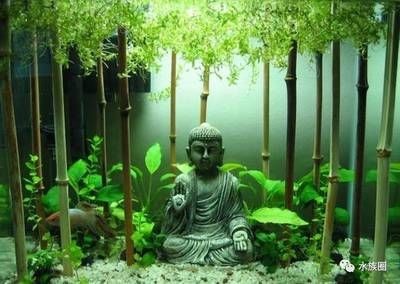 佛教文化與現(xiàn)代生活的融合佛教文化與現(xiàn)代生活的融合佛教文化：佛像魚缸造景圖片