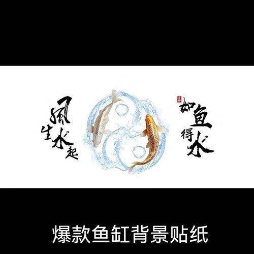 頂級紅龍魚壁紙的價(jià)格是多少？