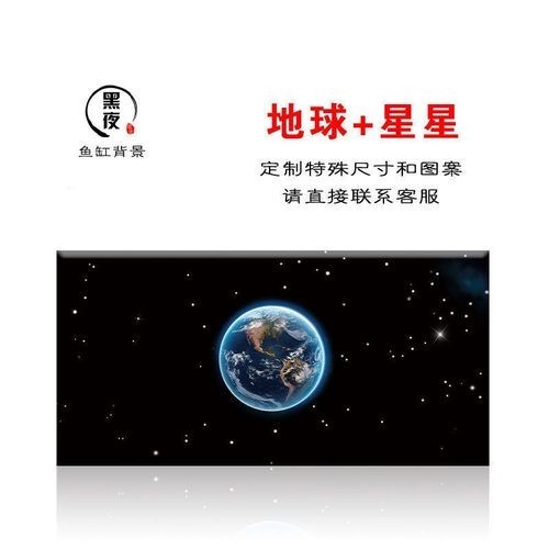 頂級紅龍魚壁紙的價(jià)格是多少？