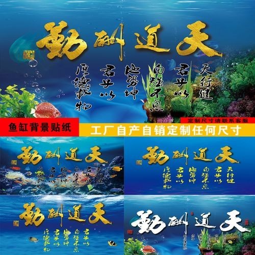 頂級紅龍魚壁紙的價(jià)格是多少？
