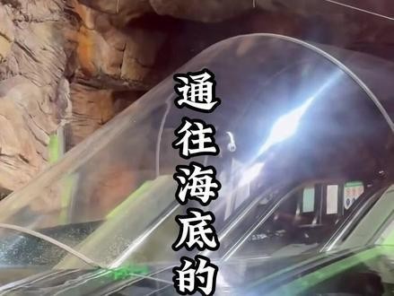 上海海洋水族館電光俠展詳情