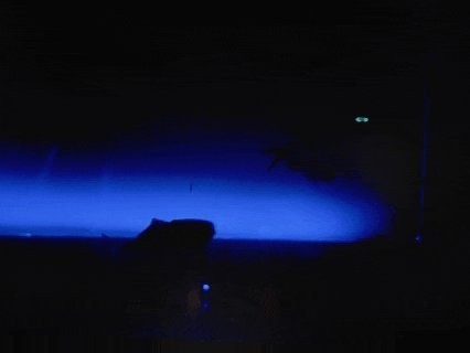 上海海洋水族館電光俠展詳情