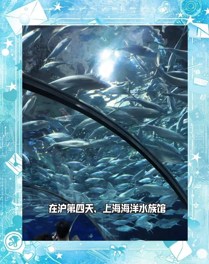 上海海洋水族館電光俠展詳情