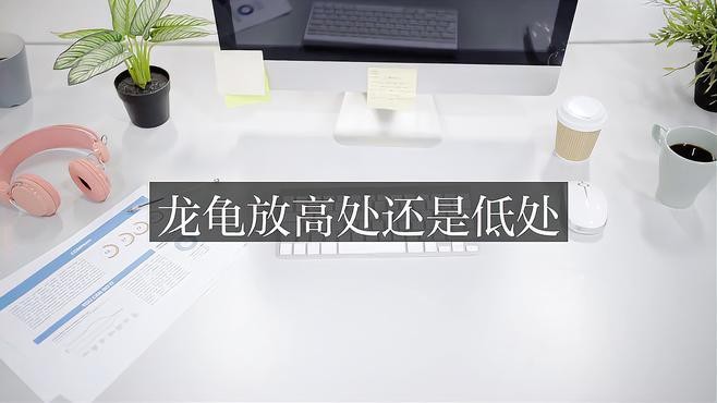 魚缸中假龍龜的最佳擺放位置