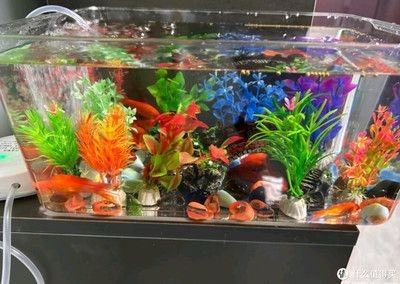 萌嘟星寵魚缸：萌嘟星寵魚缸用戶評價匯總