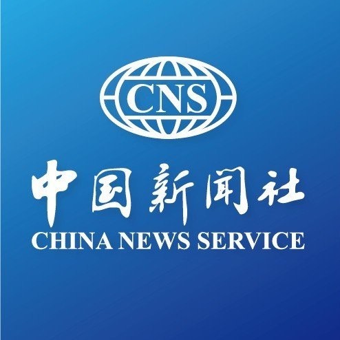 楊博文是如何開始美人魚運動的？