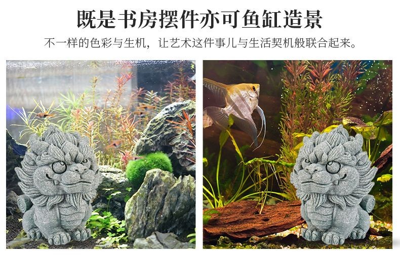 茶寵可以放在魚缸里嗎視頻：茶寵可以放在魚缸里嗎