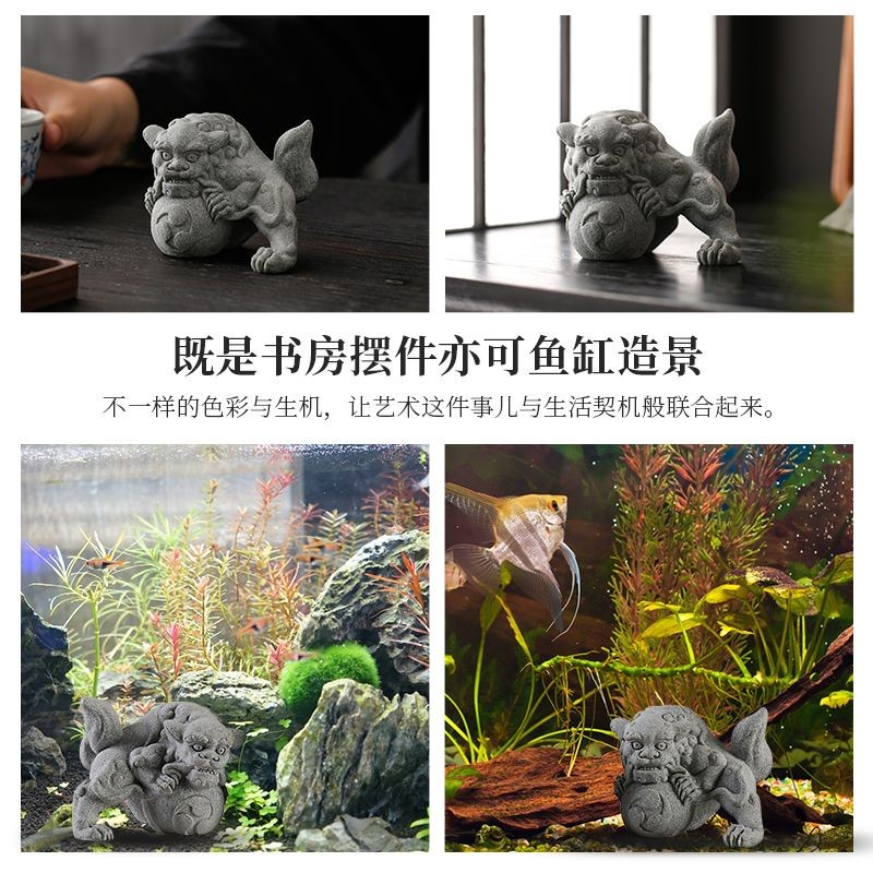 茶寵可以放在魚缸里嗎視頻：茶寵可以放在魚缸里嗎