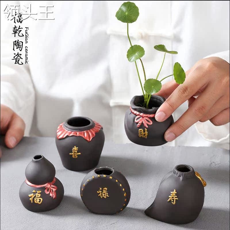 茶寵可以放在魚缸里嗎視頻：茶寵可以放在魚缸里嗎