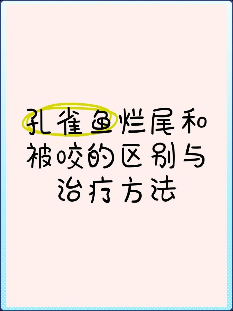 紅箭魚為什么咬孔雀魚 紅箭魚為什么咬孔雀魚 龍魚論壇 第11張