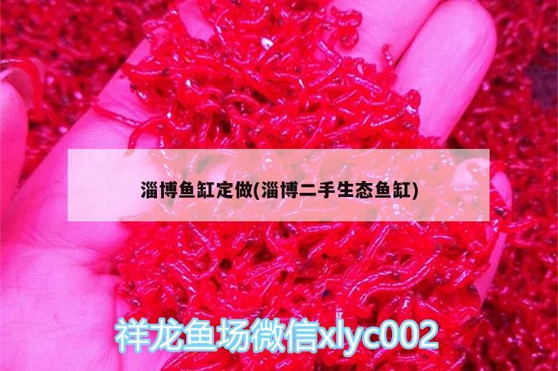 淄博魚缸定做(淄博二手生態(tài)魚缸) 淄博魚缸定做(淄博二手生態(tài)魚缸) 銀龍魚百科