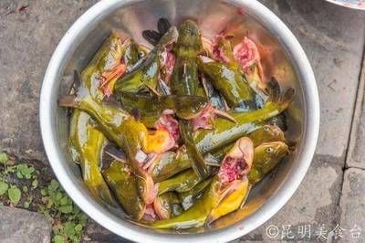 臺(tái)灣（臺(tái)北）金龍魚