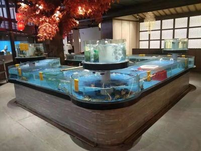 海陽水族館文化探秘：海陽市水族館文化探秘