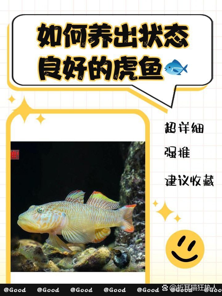 虎魚一直黑怎么辦