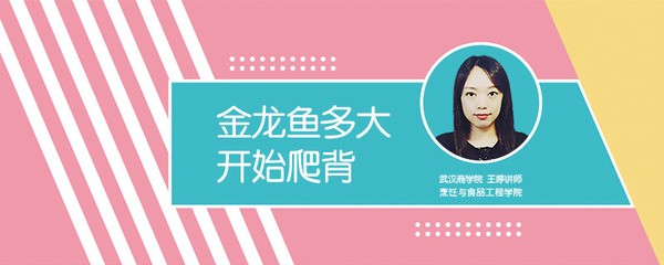 環翠區沅沐水族館（環翠區沅沐水族館電話號碼）