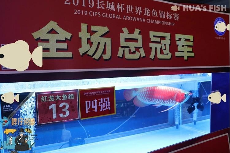 長城杯龍魚賽的獲獎名單 長城杯龍魚賽的獲獎名單 2025長城杯龍魚大賽 第1張