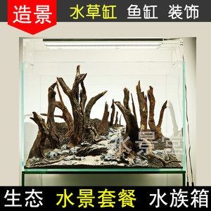 水族造景的藝術與技巧：廣州市荔灣區(qū)魚心水族店&nbsp杜鵑根
