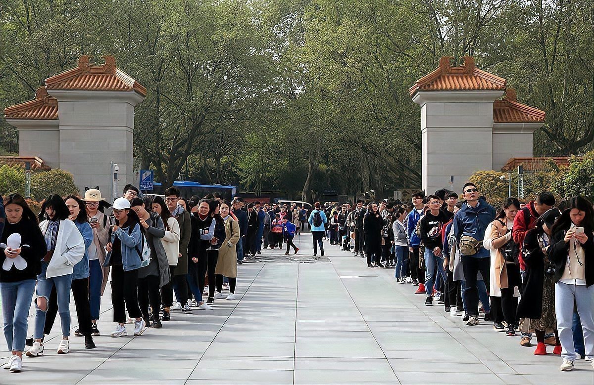 龍魚擺件朝向口訣一左二右各代表什么