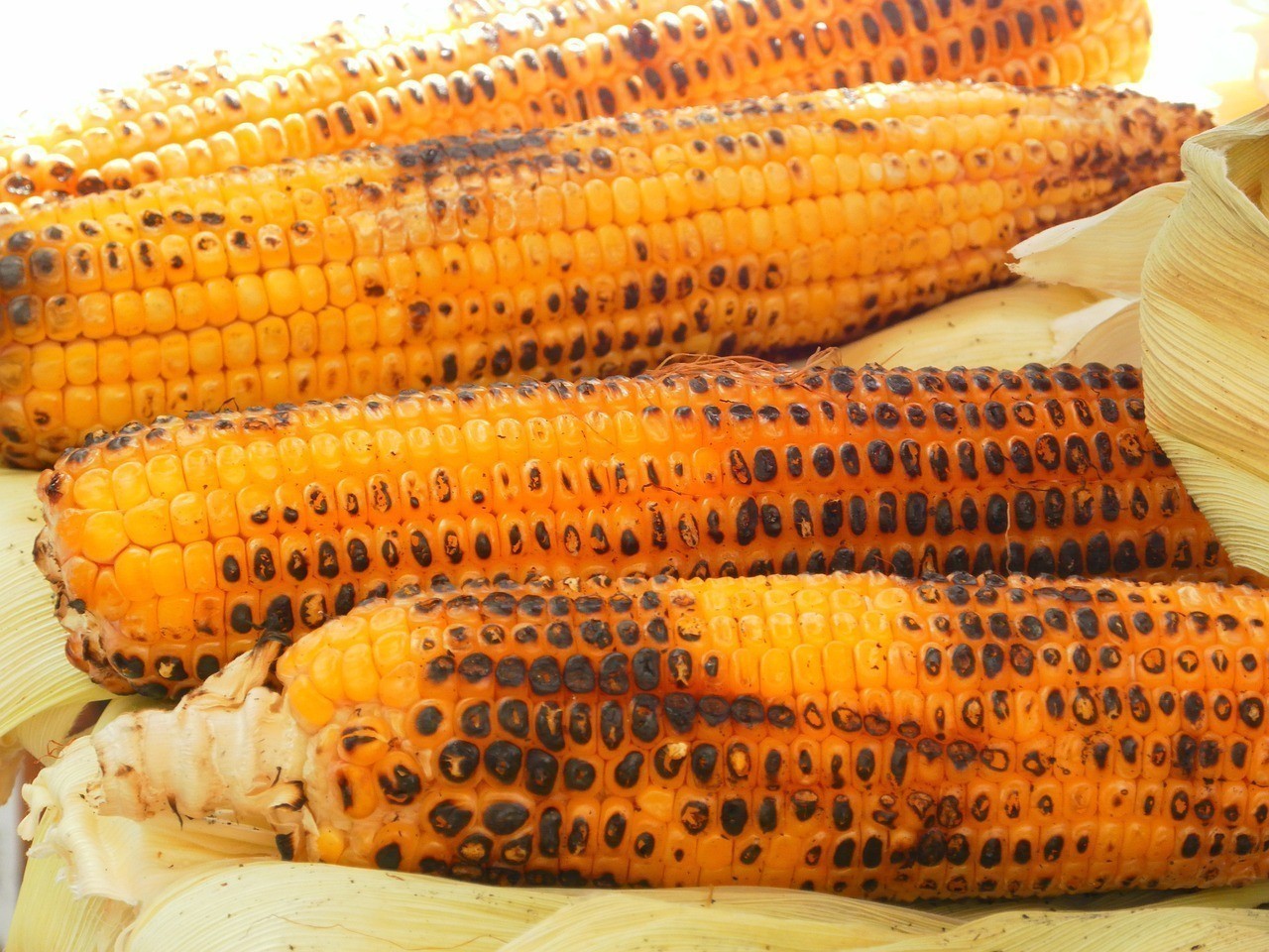 銀龍魚魚嘴爛了怎么回事(銀龍魚的魚嘴為什么有白點) 銀龍魚百科 第1張 銀龍魚魚嘴爛了怎么回事(銀龍魚的魚嘴為什么有白點) 銀龍魚魚嘴爛了怎么回事(銀龍魚的魚嘴為什么有白點) 銀龍魚百科 第1張