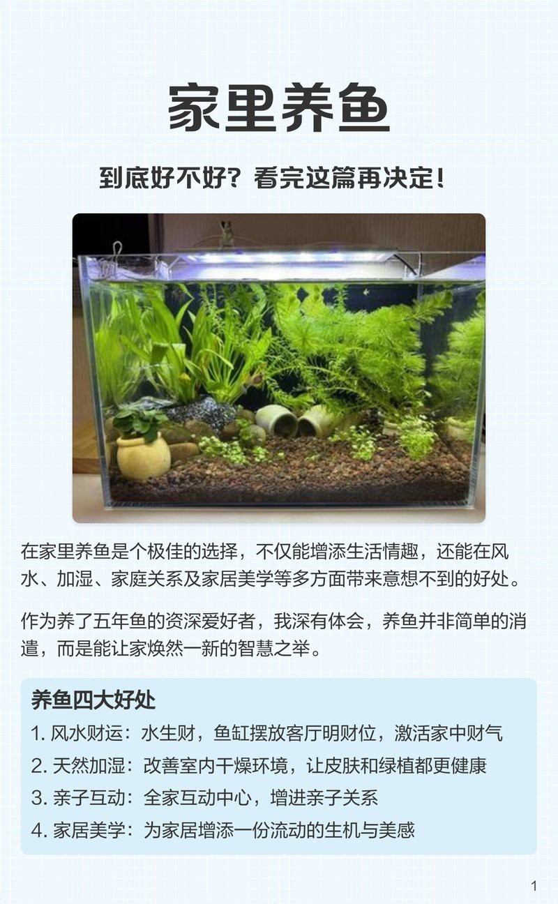 曼龍魚的風水大忌