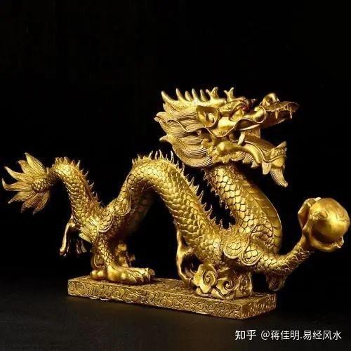 曼龍魚的風水大忌