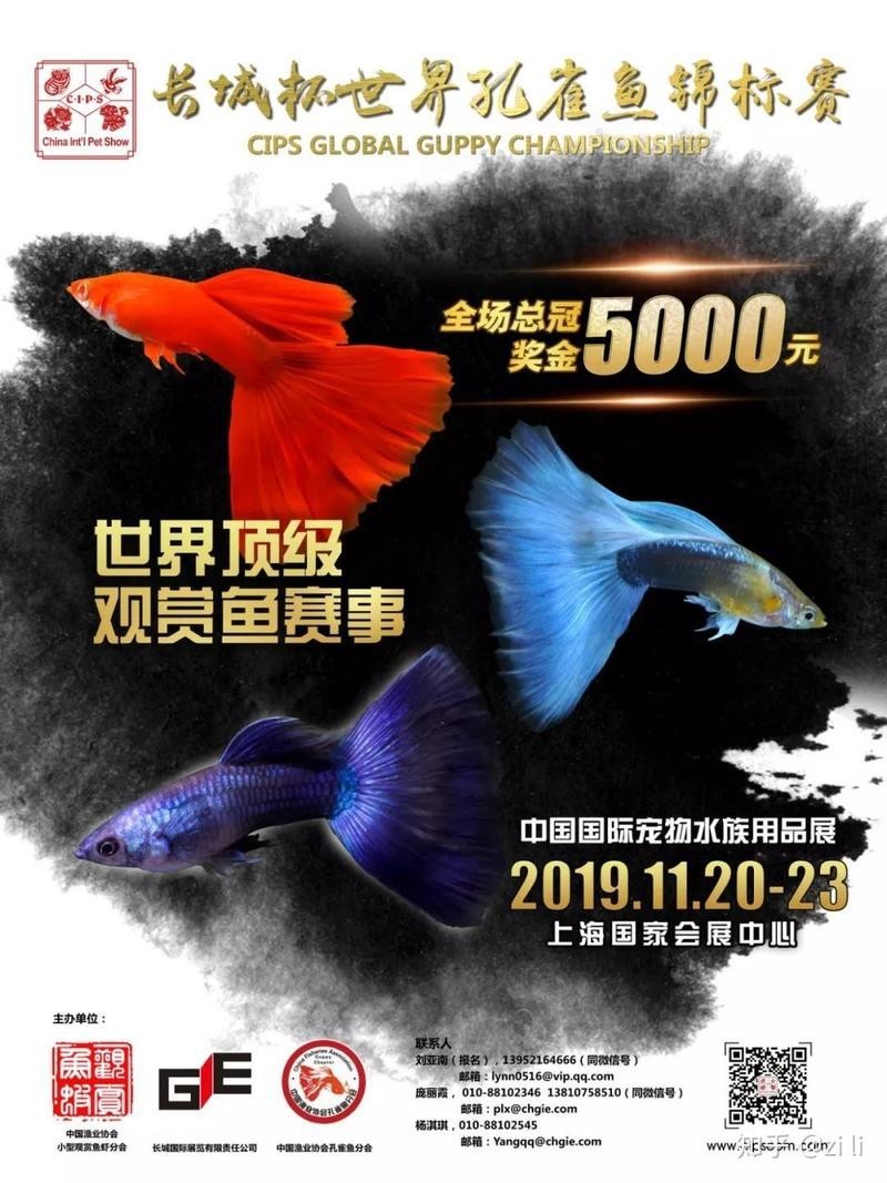 2021年長城杯孔雀魚大賽的獎金設置如何？