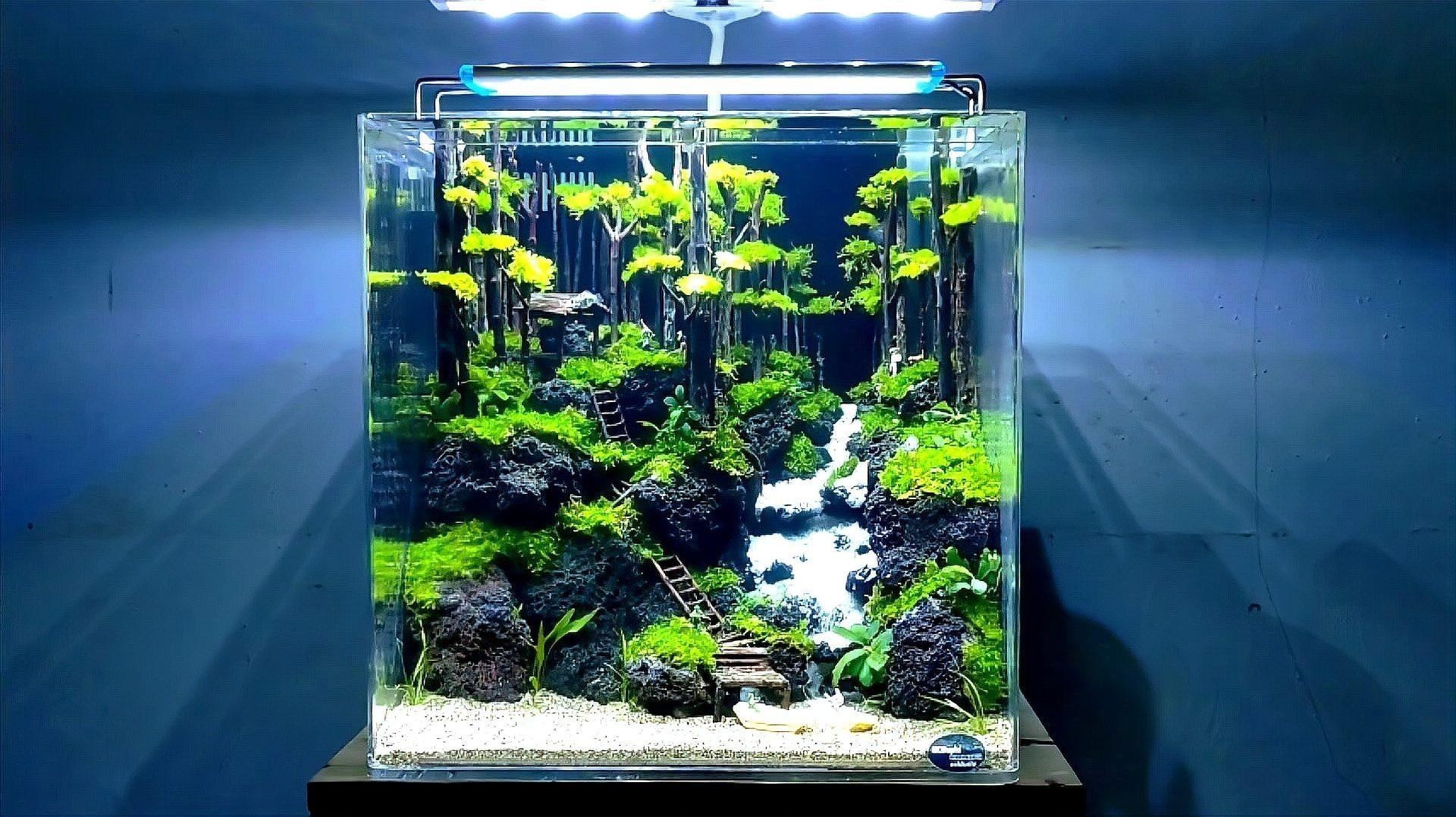 金龍魚魚缸背景圖片大全集 金龍魚魚缸背景圖片大全集 龍魚百科 第39張