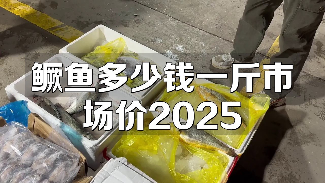 桂魚多少錢一斤市場價2025 桂魚多少錢一斤市場價2025 龍魚論壇