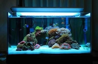 電腦水冷能用魚缸水泵嗎（電腦水冷可以使用魚缸水泵嗎？）