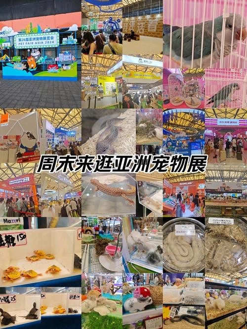 國際寵物展