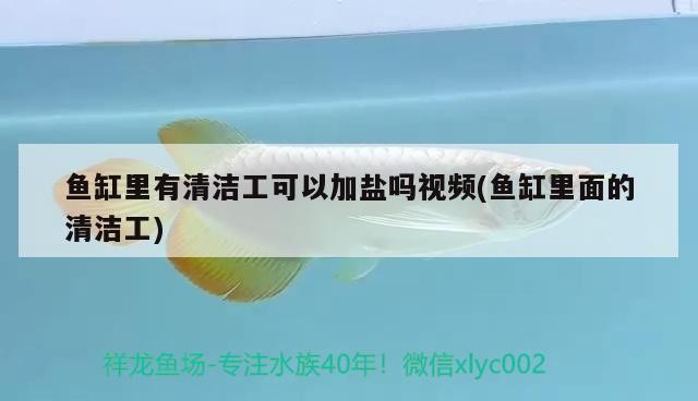 魚缸里有清潔工可以加鹽嗎視頻(魚缸里面的清潔工)