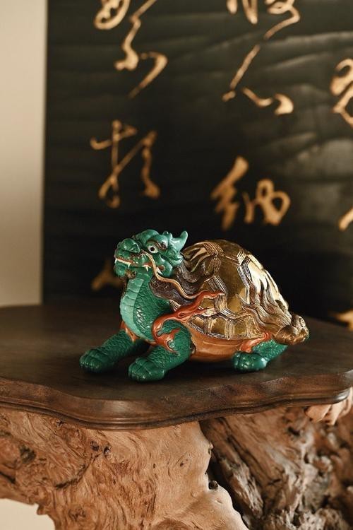 哪里可以找到更多龍龜圖片？