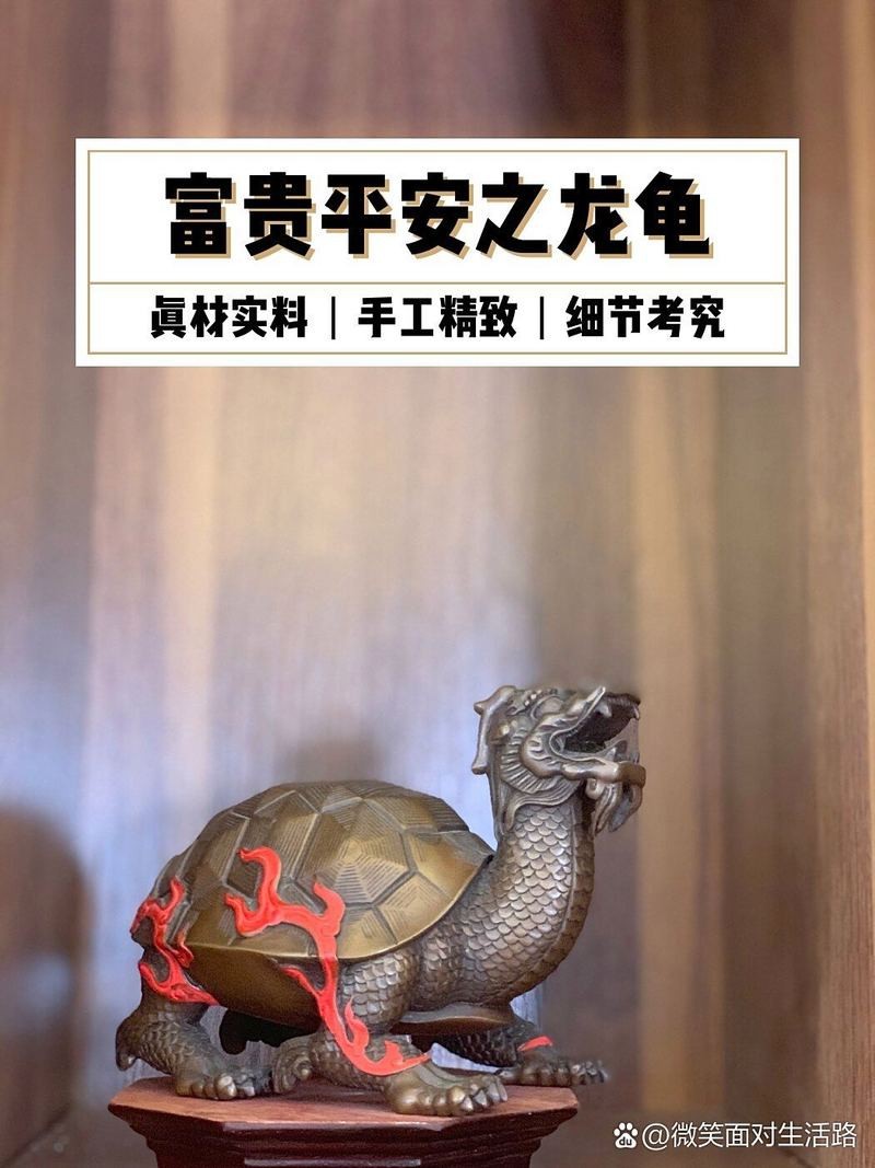 哪里可以找到更多龍龜圖片？