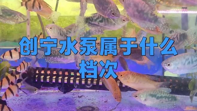 森森和創寧哪個檔次高