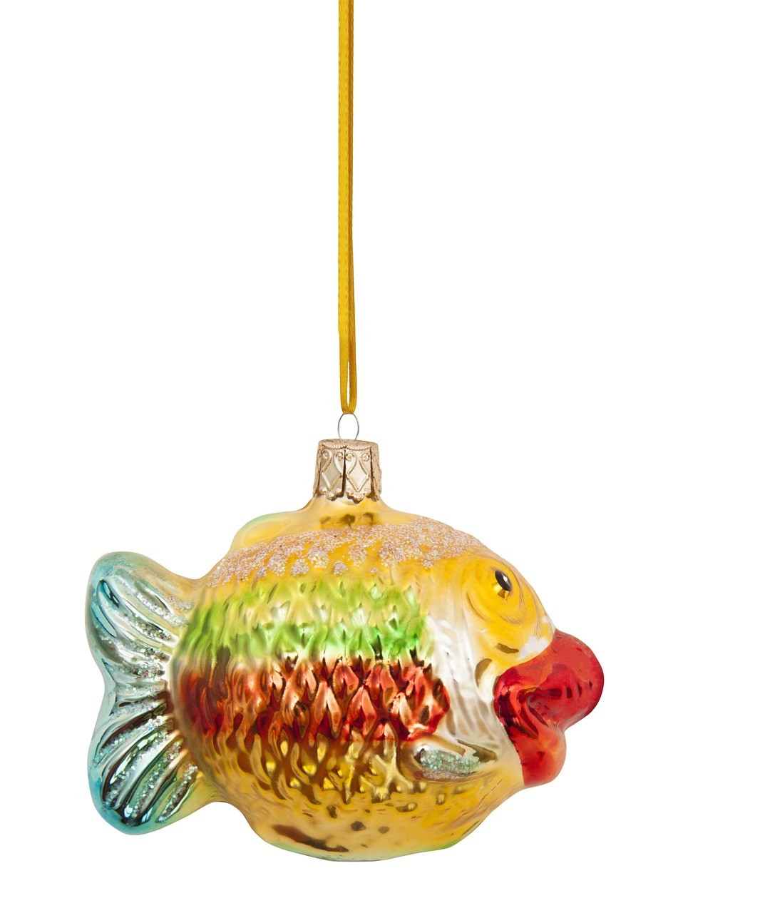 黃金玻璃貓魚(yú)價(jià)格表