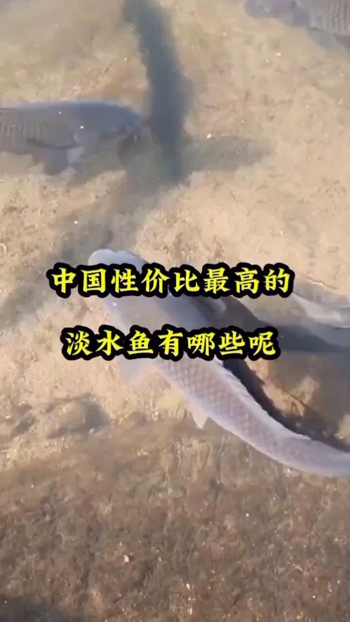 尾巴長出來一點