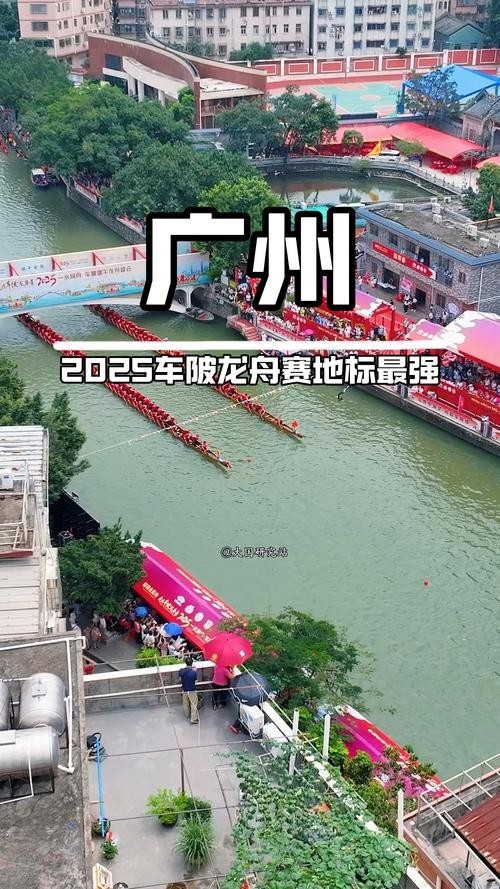 如何觀看2025廣州龍舟比賽的直播？