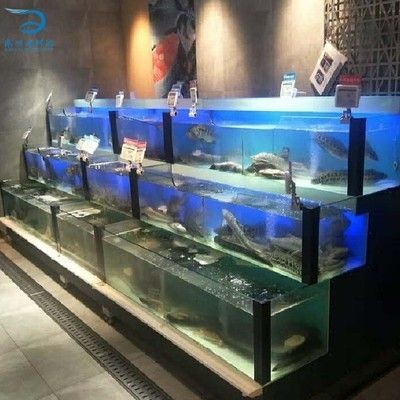 海鮮魚缸水渾濁怎么變清（海鮮魚缸水渾濁怎么變清海鮮魚缸水渾濁可以通過以下幾種方法解決）