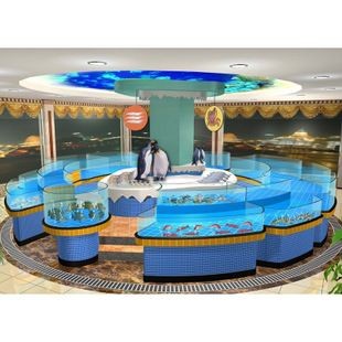 海鮮魚缸水渾濁怎么變清（海鮮魚缸水渾濁怎么變清海鮮魚缸水渾濁可以通過以下幾種方法解決）