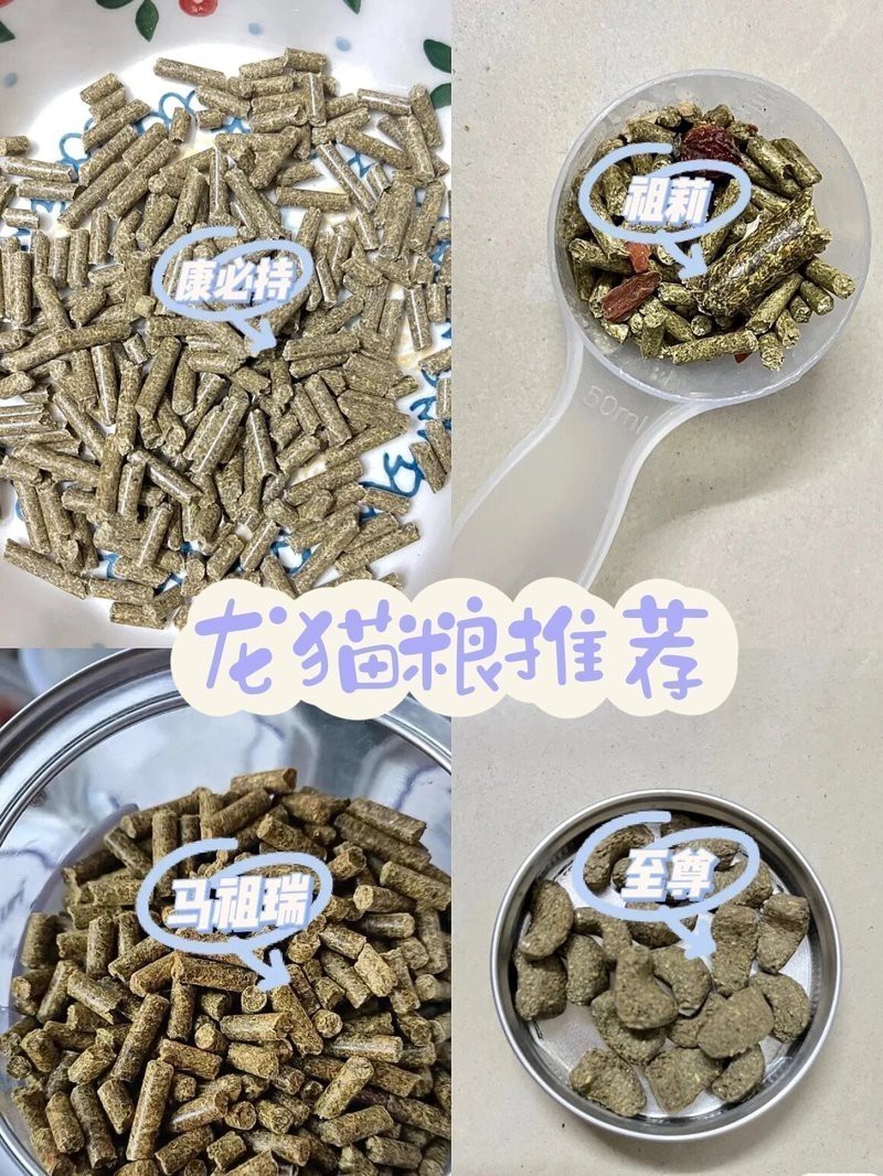 如何判斷龍貓是否喜歡吃主糧