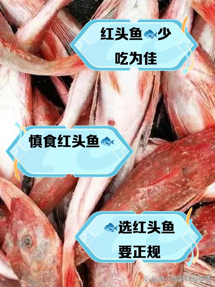 紅頭魚毒性有多強