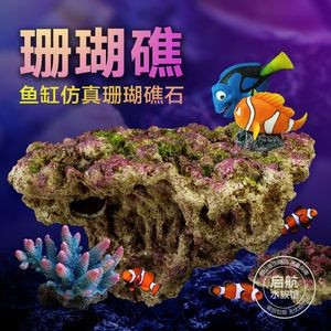 如何打造夢幻的海景魚缸：如何打造夢幻海景魚缸